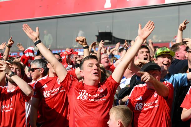 中也找到了 中也找到了