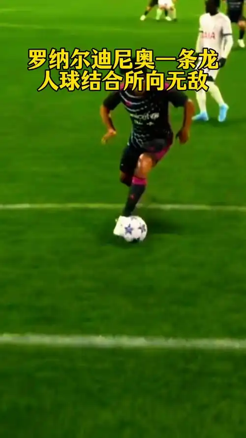 的赛场表现 的赛场表现