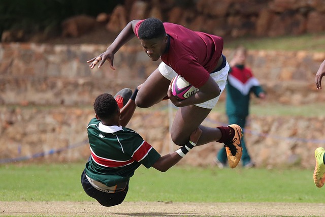 极大地提升 极大地提升