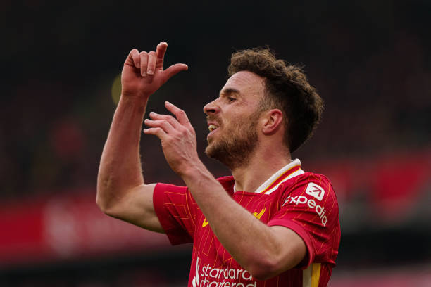 合作的基础 合作的基础